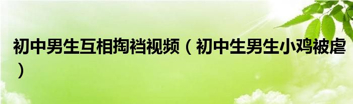初中男生互相掏裆视频（初中生男生小鸡被虐）