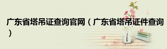 广东省塔吊证查询官网（广东省塔吊证件查询）