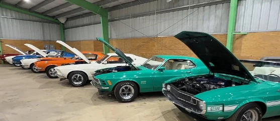 15 岁的佛罗里达收藏家展示 Boss 429 和 Shelby GT500
